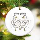 TEEZWONDER Silly Goose Ornament Christmas Decorations - Ceramic Animal Christmas Ornaments - Silly Goose Gifts for Women Friends, Funny Secret Santa Gifts for Coworker, White Elephant Gift Ideas