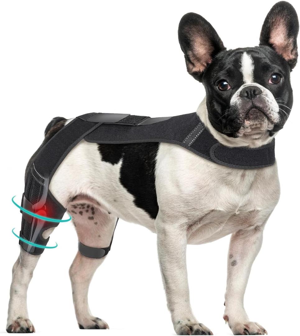 Dog Knee Brace with Vest, Support Dog Acl Brace Hind Leg Torn, Adjustable Dog Rear Leg Braces for Cruciate Ligament Injury, Joint Pain Relief and Arthritis (1, Single)