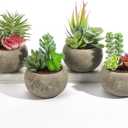 Succulents Plants Artificial 4 Pack, Mini Fake Succulents in Pots, Assorted Small Faux Succulent Decorative for Living Room Home Office Decor (Type2)