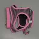 Eagloo Small Dog Harness and Leash Set, Step in Puppy Vest with Breathable Soft Mesh, Walking Reflective Pet Harness for Medium Small Dogs, Pink, M (M(Chest:16.0"-18.5"))