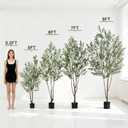 Bailikang 6FT Artificial Olive Tree Artificial Olive Plants, Tall Faux Olive Tree Faux Silk Plant Fake Plant Ultra-Realistic Silk Leaves & Natural Trunk Indoor Outdoor Use