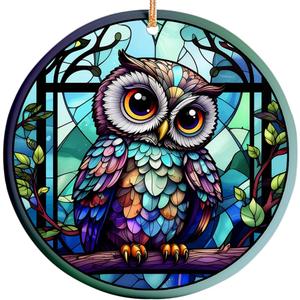 Decorlion Christmas Ornament - Colorful Owl Ceramic Ornament, Bird Lover Gift for Women, Friends, Teachers  Tree Ornaments, Xmas Gifts for Owl Lovers