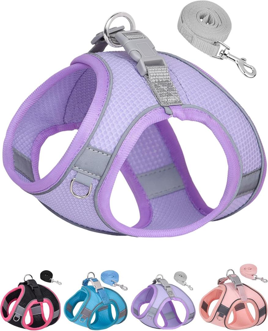 Dog Harness for Small Medium Sized Dog, Step in Puppy Harness and Leash Set Training Walking. (Purple, XXS)