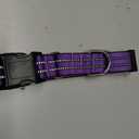 Martingale Dog Collar, Adjustable Nylon Reflective Collar with Quick Release Buckle (Purple, Extra Large)