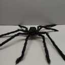 CAMIRUS 5.4ft/165cm Halloween Skeleton, Life Size Skeleton with Hairy Spider Pumpkin Bag, Full Body Human Bones with Movable Joints for Halloween Indoor Outdoor Haunted House Decorations