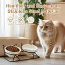 Elevated Tilted Cat Bowls for Indoor CatsRaised Ceramic Cat Bowl Elevated 15,Pet Feeding Bowls for Food and Water Anti Vomiting Bowl(Double Ceramics and Tilt Shelf) Suitable