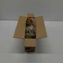 HyeFlora Artificial Fall Flowers for Outdoors Decoration 2PCS Autumn Faux Morning Glory Look Real Silk Flowers for Outside Planter UV Resistant Fake Flowers for Home Garden Balcony Yard Porch Deco