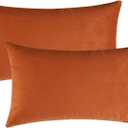 Mixhug Set of 2 Cozy Velvet Rectangle Decorative Lumbar Throw Pillow Covers for Couch and Bed, Burnt Orange, 12 x 20 Inches