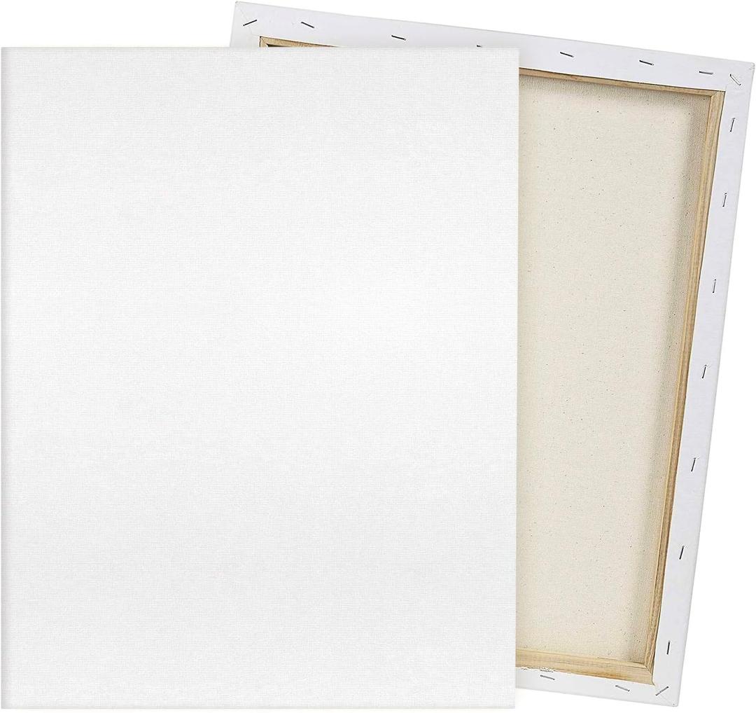 Pre Stretched Canvas 18x24 2 Pack Large Stretched Canvases for Painting Four fold Acrylic Titanium Priming Blank Canvas Boards for Painting