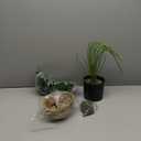 Nearly Natural 4ft Golden Cane Palm Artificial Tree