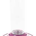 Perky-Pet 209BW Glass Hummingbird Feeders for Outdoors Hanging - 30 oz - Ant & Bee Guarded Royal Berry Bird Feeder