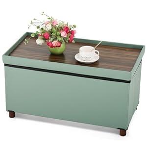 Dorriss Ottoman Storage Bench with Tray - Bedroom Foot Stool & Coffee Table Lid - Black Leather, 30" Inch