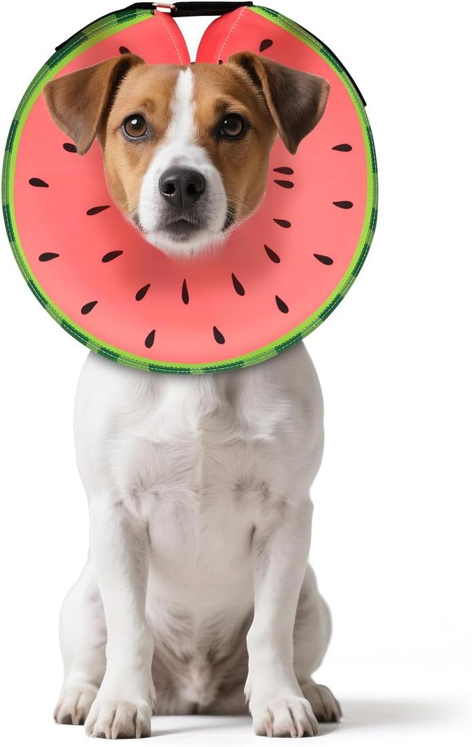 MIDOG Dog Cone Collar for Dogs, Watermelon, Small