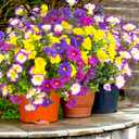 Artificial Flowers for Outdoors Fake Plants Spring Summer Decor, 12 Bundles Realistic Fake Silk Flowers Colorful Morning Glory UV Resistant Faux Flowers for Porch Outside Planter Porch Patio Yard