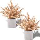 Coferset 2 Pack Gold Eucalyptus Small Fake Plants Potted Artificial Plants for Christmas Decorations Shelf Desk Home Farmhouse Room Coffee Table Bathroom Decor