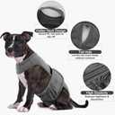 PUMYPOREITY Dog Diaper with Suspender, Escape-Proof Anti-Harassment Garment for Heat Cycle, Incontinence, Puppy Training, Senior Dog, M, Grey