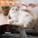 3 x Steam Brush for Cat & Dog  3-in-1 Spritz Pet Spray Hair Removal Comb for Grooming & Shedding Steam  Water Brush for Long & Short Haired Pets Includes Two Bottles Waterless 2*Shampoo (7.8-90ML, white)