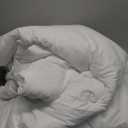 CozyLux Queen Comforter Set White Seersucker 7 Pieces Bed in a Bag Queen Comforter Set with Sheets, Luxury Soft Bedding Set with Down Alternative Comforter, Sheets, Pillowcases & Shams for All Seasons