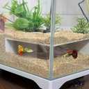 Aquarium Undergravel Fish Tunnel Hide Cave Corner Tank Decorations Under Gravel Viewing Tunnel Fish Cave for Aquarium Hideout (White,Style 8)