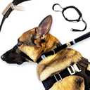 PetsProMax No-Pull Dog Headcollar for Large Dogs (Size L) - Instantly Stops Pulling, Comfortable & Safe Training Collar, Gentle on Your Dogs Nose and Head; No-Pull Dog Collar in Black (L)