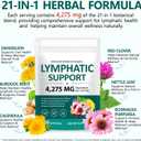 Liefiet Lymphatic Drainage Supplements 240 Softgels, 21-in-1 Herbal Blend with Echinacea, Dandelion & Burdock Root, Lymph System Supports Overall Daily Wellness for Women & Men