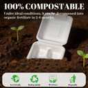 Lucklot 100 Pack Togo 8×9 Inch Disposable 3 Compartment White Clamshell Take Out Containers with Lids, To Go Takeout Lunch Boxes Compostable and Eco-Friendly Biodegradable Bagasse PFAS-Free for Food