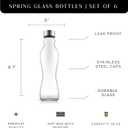 JoyJolt Spring Glass Water Bottles Set of 6-18 oz Glass Bottles with Stainless Steel Caps - Glass Drinking Bottles with Leakproof Lids - Reusable Glass Juice Bottle - Container Bottle Set
