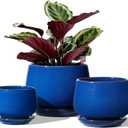 LE TAUCI Plant Pots, 4.1+5.1+6.5 inch, Set of 3, Ceramic Planters with Drainage Hole and Saucer, Indoor Flower Pot with Hole Mesh Pad, Gifts for Mom, Sapphire Blue