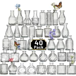 Glass Bud Vase Set of 40 Pcs Small Minimalist Vases for Flowers, Vintage Rustic Home Decor for Table Centerpiece Wedding Party, Modern Clear Aromatherapy Bottle for Living Room Bedroom