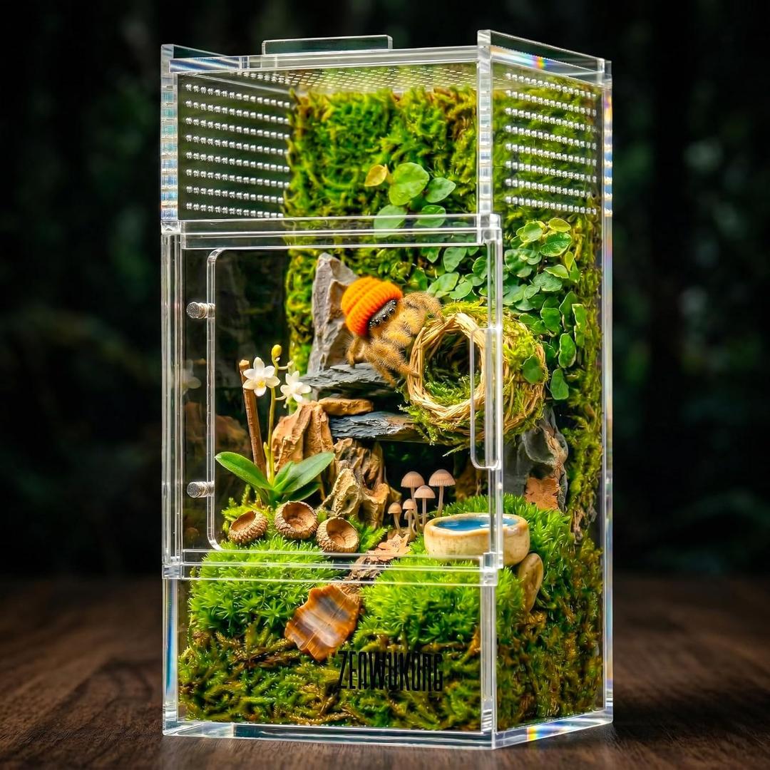 Jumping Spider Enclosure - Acrylic Terrarium Habitat for Spiders, Tarantulas, Snail, Mantis, Lizard, and Small Reptiles, Magnetic Doors (3x3x6 inch)