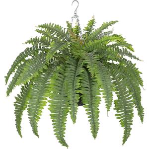 Hollyone 33" Artificial Boston Fern Hanging Basket Large 39 Leaves Fake Ferns in Rattan Pot Greenery Plants for Outdoors & Indoor Faux Fern Bush Basket Plant Patio Garden Home Decor Dusty Green