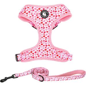 Dog Harness and Leash Set, Adjustable Dog Harness, Dog Leash, No Pull No Choke Puppy Harnesses for Walking Training , XS(Chest 11-13", Neck 9-11"))