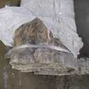 Loloi Margot Collection MAT-03 Ocean/Spice 8'-6" x 11'-6" Area Rug feat. CloudPile, No-Shed Easy Clean Large Patterned Area Rug for Living Room, Bedroom, Dining Area