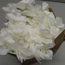 Janinka 6.5 Feet Wisteria Flower Garlands Faux Vine Flower Backdrop for Wall Arch Garden Home Wedding Decoration(Milky White,12 Packs)