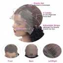 AUOCATTAIL 13x4 HD Transparent Frontal Glueless Wigs Human Hair Curly Wigs with Baby Hair Natural Hairline Pre Plucked Pre Cut for Beginners 24 in