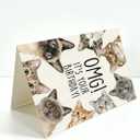 2 x Funny Cat Birthday Card, Birthday Gift for Cat Lovers, Blank Inside, with Kraft Envelope and Gold Seal Sticker