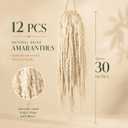 Natural Dried Wisteria Hanging Flowers - 30 Inch Bleached White Amaranthus Vine for Wedding Arch, Boho Home Decor, Wall Floral Arrangement and Vase Filler (12, White)