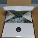 L. Cotton Tampons Regular/Super Absorbency Multipack, Contains an Organic Cotton Core, Made Without Synthetic Pesticides, or Fragrances, 84 Count (2 Packs of 42)