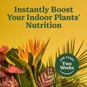 Miracle-Gro Indoor Plant Food for All Plants, Liquid Plant Food for Houseplants, Flowers, Vegetables, Herbs, and More, 8 fl. oz., 2-Pack