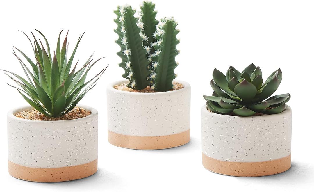 ASTRIDIA Artificial Succulent Plants in Ceramic Pots, Faux Assorted Succulents Plants for Home Decor, Bedroom, Office, Desk, Living Room, Set of 2