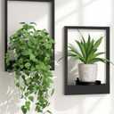 Wall Planters for Indoor Plants Wall Plant Holder Frame Plant Wall Hanger Window Plant Hanger for Livingroom Entryway Wall Decor (2 Psc)