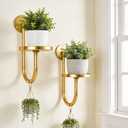 Wall Plant Holder Set of 2 for Outdoor, Metal Hanger | Floating Flower Display Stand for Window, Space Saving & Easy to Assemble (Pots/Plants Not Included),Golden
