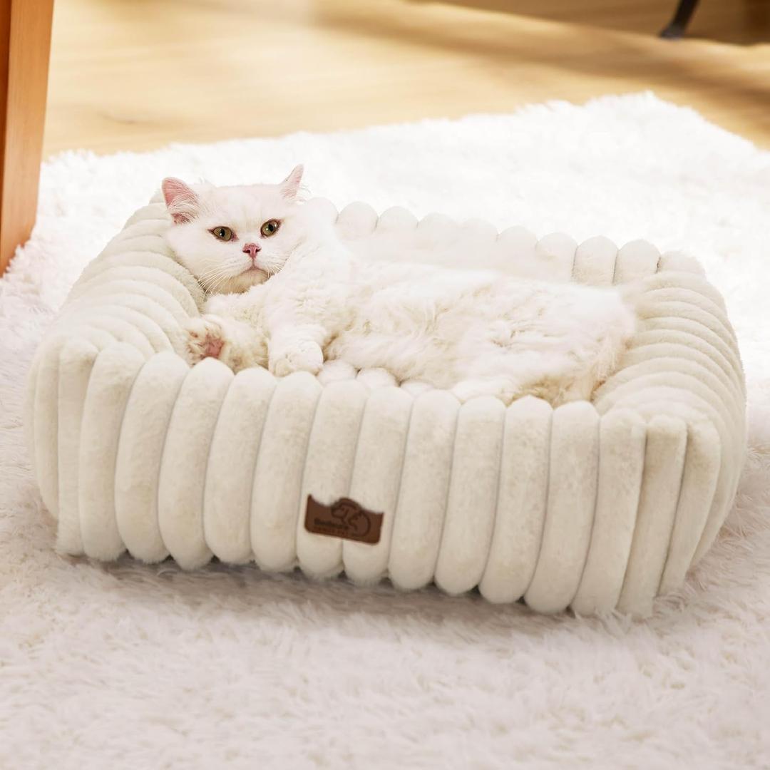 Bedsure Cute Dog Bed for Small Dogs & Cats - Washable Furry Cat Beds, Rectangle Orthopedic Corduroy Fleece Puppy Beds with Removable Zipper Cover, 20x19x6inches, Cream