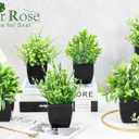 Der Rose 6 Pack Fake Plants Mini Artificial Plants for Home Office Farmhouse Bathroom Shelf Decor Indoor