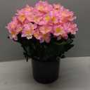 Juxdp 2 Sets of Artificial Camellia Topiary Ball Trees - Fake Flower Potted Plants, UV Resistant Faux Camellia Potted Bushes for Front Door, Farmhouse, Porch, Garden, Outdoor Decoration (Pink)