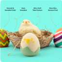 Taba Squishy Chicken Nest Egg Kit - Birthday Gift for Kids, Teens - Gifts for Boys & Girls Ages 7 8 9 10 11 12 - Taba Squishies Gift - Squeeze Toys - Squishys Fidget Toys