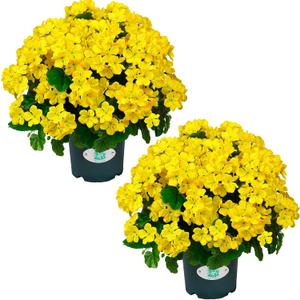 QIANYUN Artificial Topiary for Outdoors- 20 Potted Plant Fake Geraniums Bush-UV Resistant Artificial Outdoor Plant for Front Porch, Garden, Yard, Patio Decor (Yellow)