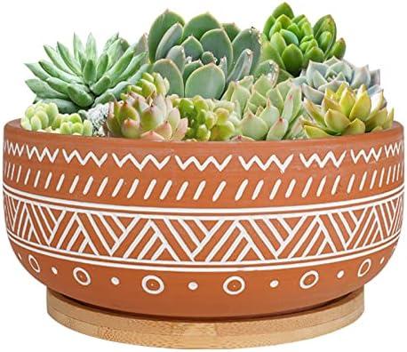 Thirtypot 8 Inch Large Round Terracotta Succulent Planter Pot with Drainage Hole and Saucer, Shallow Bonsai Pot for Indoor Plants Has Crack