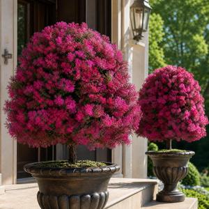 BLOSMON Faux Cedar Topiary Trees with Stake for Outdoor Planters, Set of 2