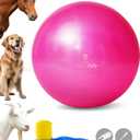 Harrison Howard Howdy Bally Mega Horse Play Ball Anti-Burst Giant Horse Ball 22 Inch-Magenta